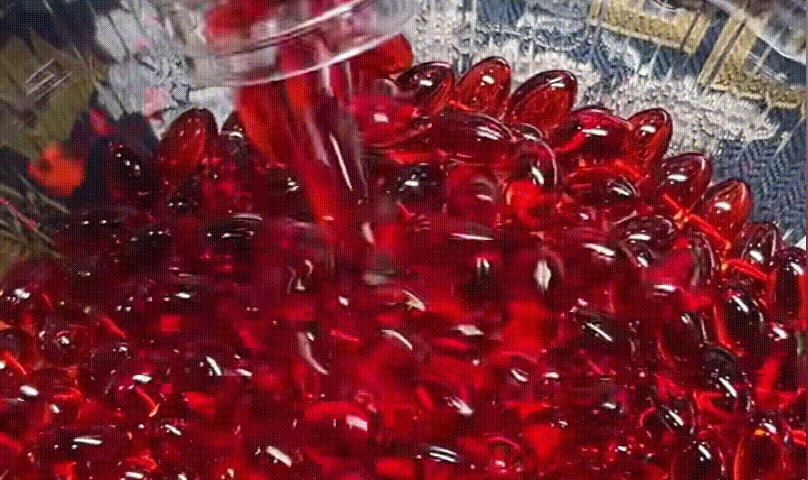 11.gif